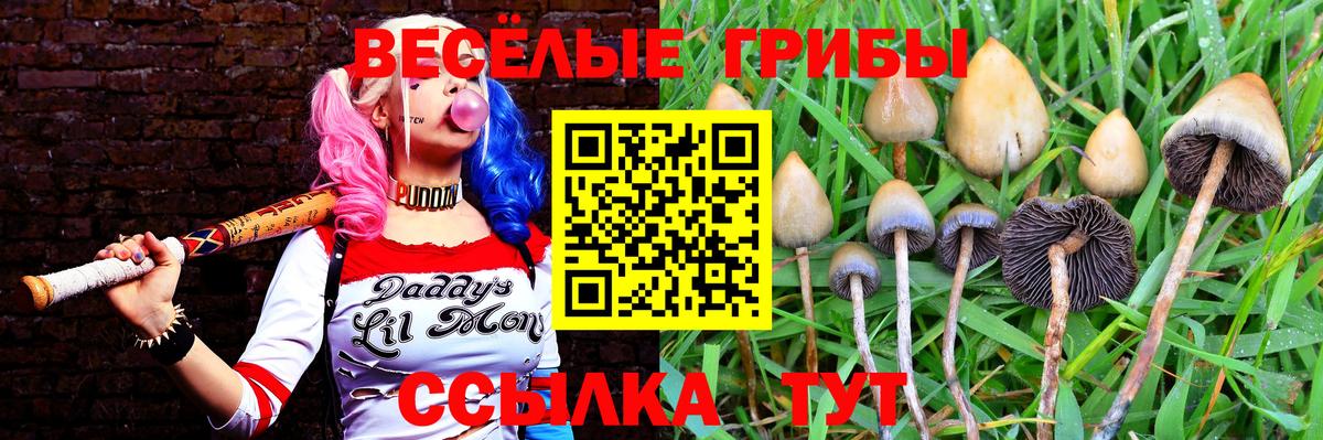 Псилоцибиновые грибы Cubensis  Вход с VPN  Канаш 