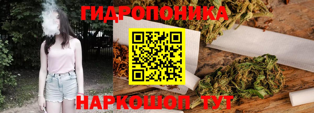 Бошки Шишки план  Бошки Шишки индика  Вход с VPN  Канаш 